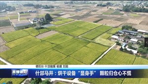 什邡马井：烘干设备“显身手” 颗粒归仓心不慌