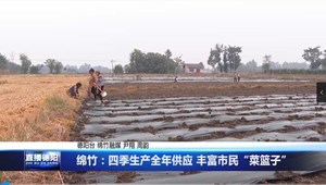 绵竹：四季生产全年供应 丰富市民“菜篮子”