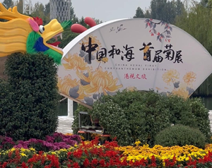 德阳秋日美景系列之四