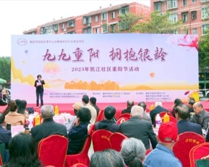 旌阳：完善养老服务体系 用心守护“夕阳红”