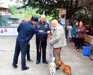 中江：文明养犬 从我做起