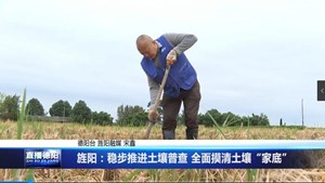 旌阳：稳步推进土壤普查 全面摸清土壤“家底”