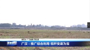 广汉：推广综合利用  秸秆变废为宝