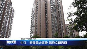 中江：开展养犬宣传 倡导文明风尚