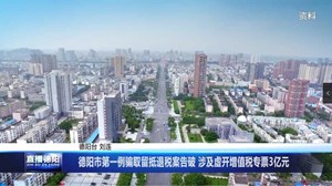 德阳市第一例骗取留抵退税案告破 涉及虚开增值税专票3亿元