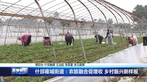 什邡雍城街道：农旅融合促增收 乡村振兴新样板