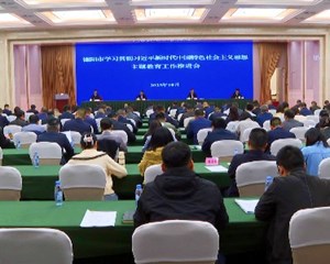 把准把牢正确方向 推动全市主题教育走深走实