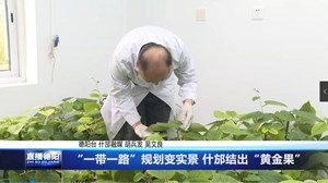 “一带一路”规划变实景 什邡结出“黄金果”