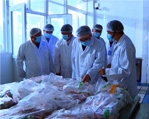 守住食品安全底线 保障师生“舌尖上的安全”
