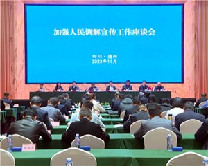 加强人民调解 筑牢维护社会和谐稳定“第一道防线”