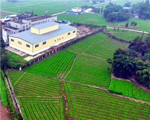 我市多措并举激活乡村振兴“动力源”