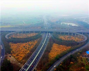 按下项目建设“快进键” 为高质量发展蓄势赋能