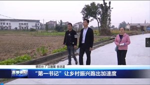 “第一书记”让乡村振兴跑出加速度