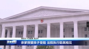 亲爹探望孩子受阻 法院执行助其相见 