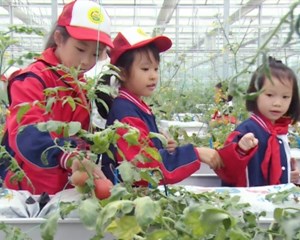 中江：科普研学 感受农业科技魅力
