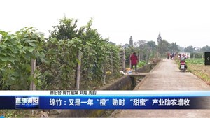 绵竹：又是一年“橙”熟时 “甜蜜”产业助农增收