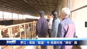 罗江：发放“致富”牛 拓宽村民“增收”路