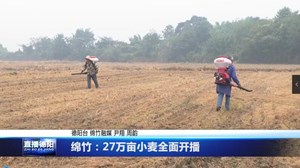 绵竹：27万亩小麦全面开播