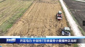 开足马力 什邡市7万余亩冬小麦播种正当时