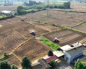 新型农机加持 小麦播种跑出“加速度”
