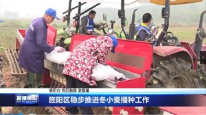 旌阳区稳步推进冬小麦播种工作