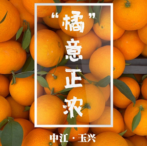大美德阳·赏花品果系列报道