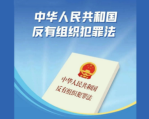 一图读懂《反有组织犯罪法》