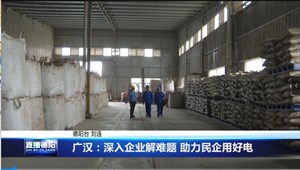 广汉：深入企业解难题 助力民企用好电