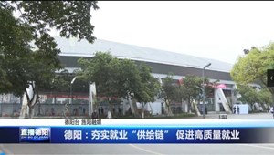 德阳：夯实就业“供给链” 促进高质量就业