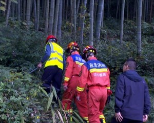 绵竹九龙镇：以“人防+技防”守护青山绿水