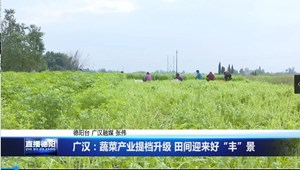 广汉：蔬菜产业提档升级 田间迎来好“丰”景