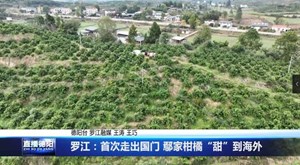 罗江：首次走出国门 鄢家柑橘“甜”到海外