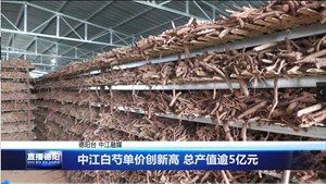 中江白芍单价创新高 总产值逾5亿元