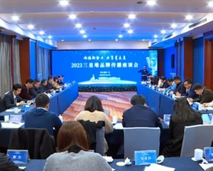2023三星堆品牌传播座谈会举行