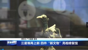 三星堆再上新 四件“新文物”亮相修复馆