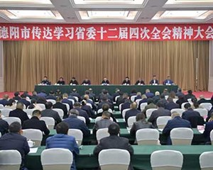 把思想和行动统一到省委全会精神上来 确保全会精神在德阳不折不扣落地见效
