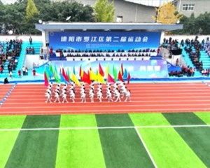 罗江区第二届运动会启幕 逾四千人参赛