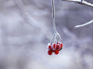 小雪到，冬始俏，这份防寒指南请收好→