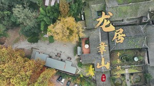 寻找德阳古树 ⑩：什邡千年银杏