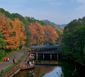 德阳冬日美景系列之十三：东湖山公园绘出多彩画卷