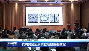 焚烧实验还原祭祀场景重要数据