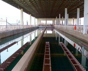 绵竹第六水厂净水工程投用 解决群众用水难题