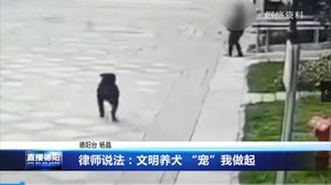 文明养犬 “宠”我做起