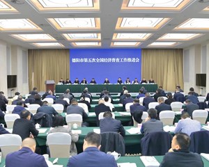 高标准高水平完成普查任务 以高质量普查服务德阳高质量发展