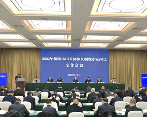 全面落实落细田长制林长制河湖长制 为德阳现代化建设提供坚实生态支撑