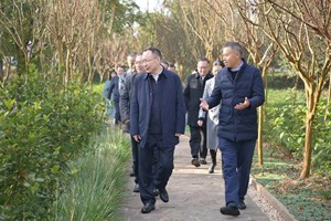 坚定不移实施县域进位战略 推动县域经济高质量发展