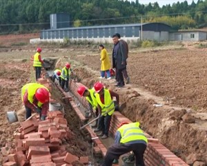 旌阳：加快高标准农田建设 夯实粮食安全“耕”基