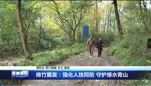 绵竹麓棠镇：强化人技同防 守护绿水青山