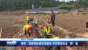 旌阳：加快高标准农田建设 夯实粮食安全“耕”基