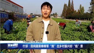 什邡：田间蔬菜棒棒军“挑”出乡村振兴好“钱”景